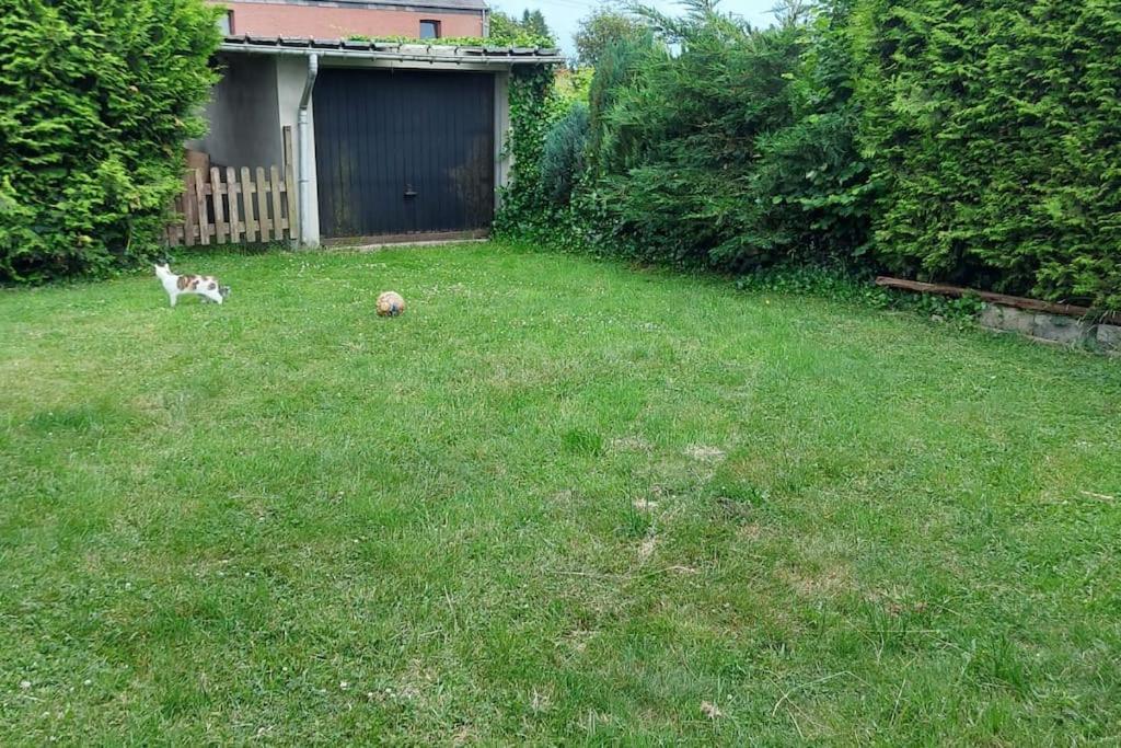Nazareth Logement Un Magnifique Logement De Vacances Bastogne Bagian luar foto